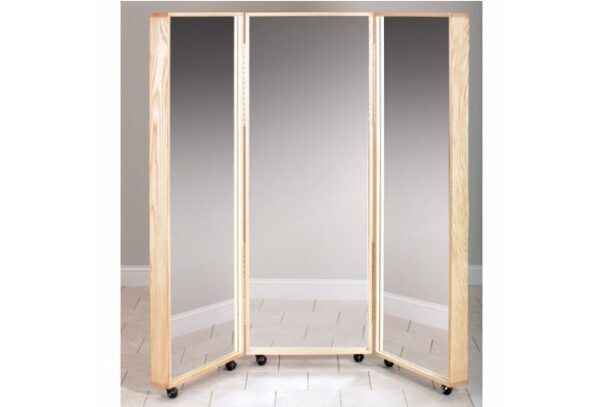 Clinton Physical Therapy Mirrors